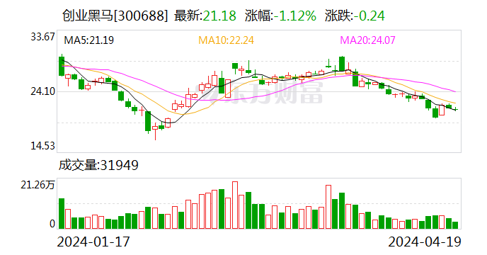 创业黑马：2023年盈利966.39万元 拟10派0.05元